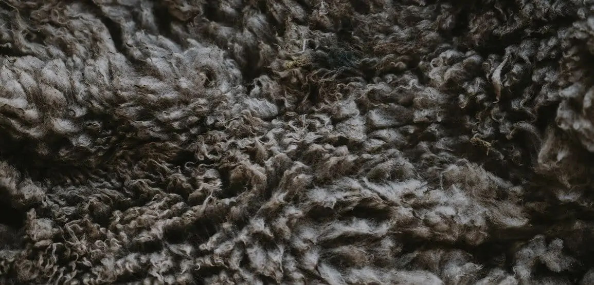 Why wool is saving the world