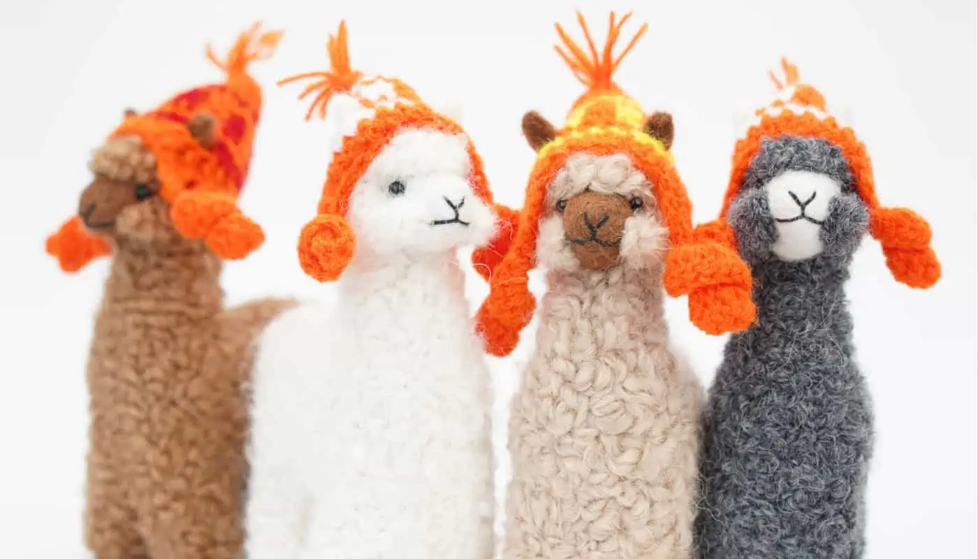baby alpacas with an orange hats