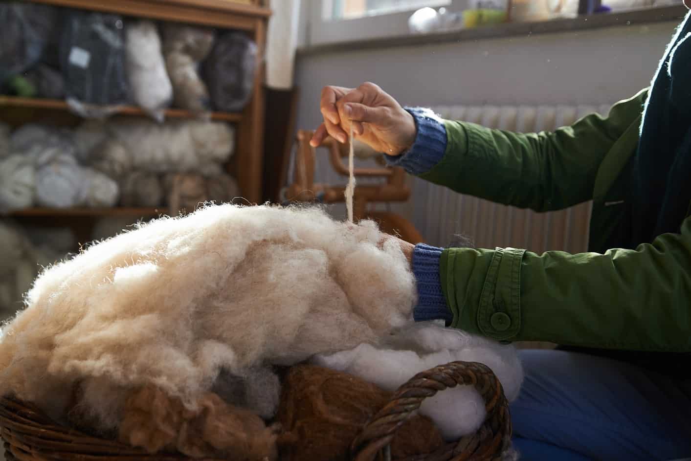 Yarn from natural sheep wool