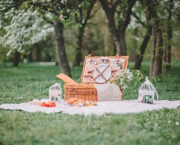 Luxury picnic basket