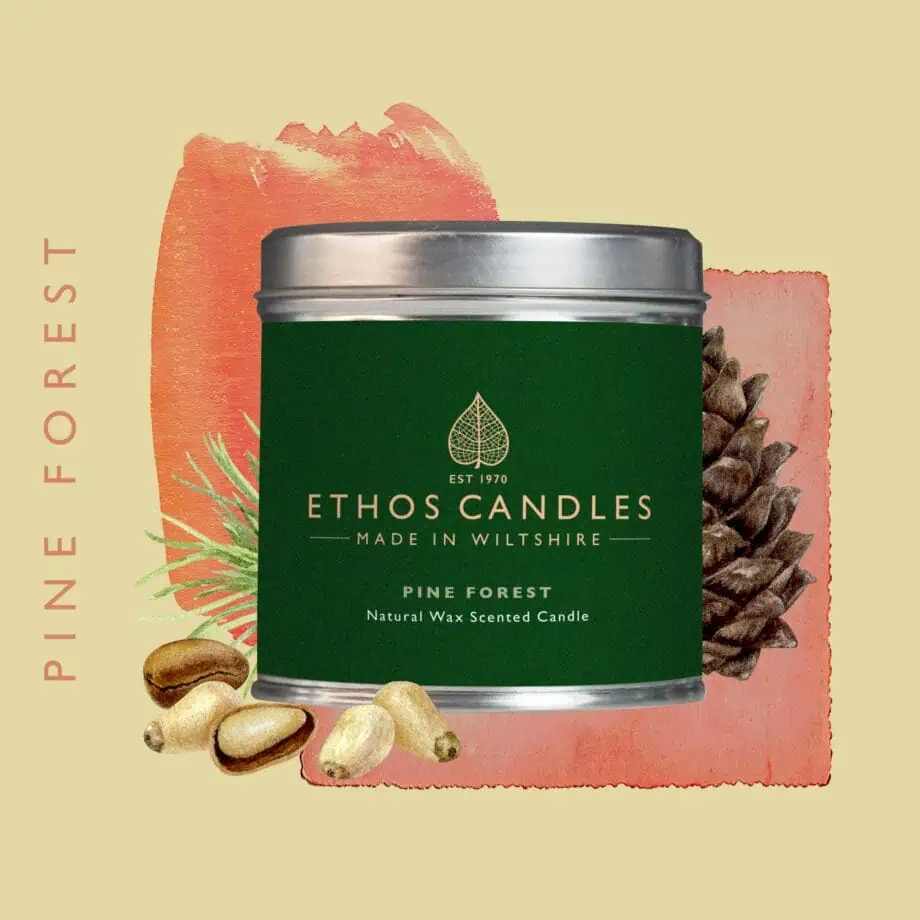 pine forest candle