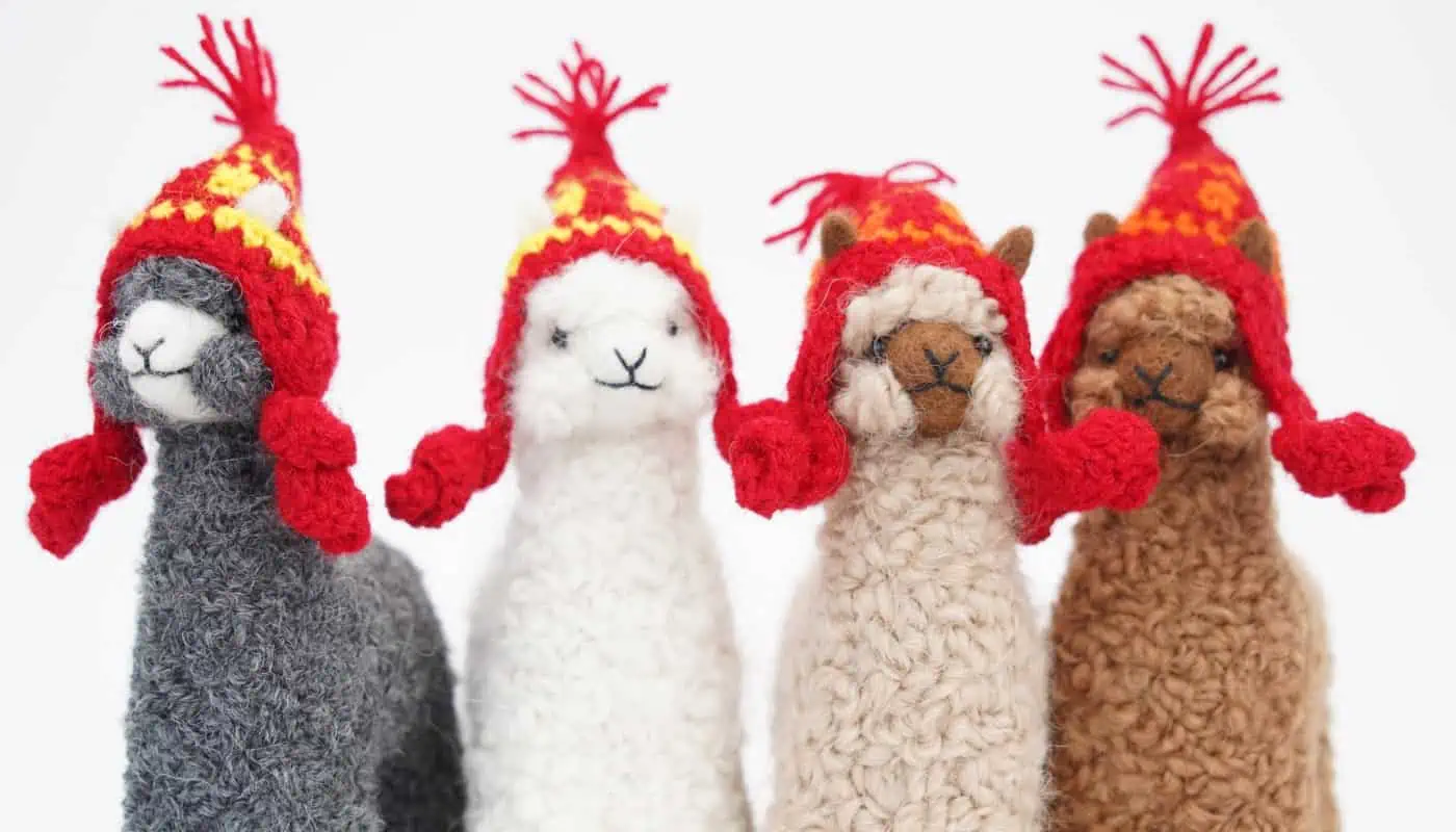 baby alpacas with a ted hats