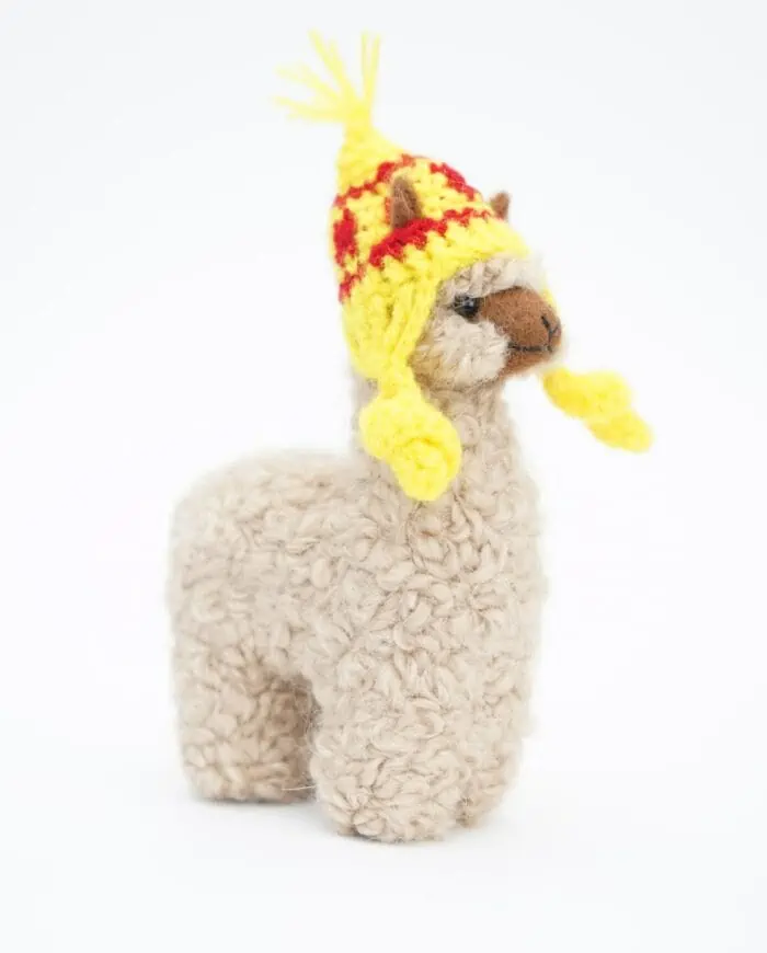 Cute baby alpaca with a yellow hat