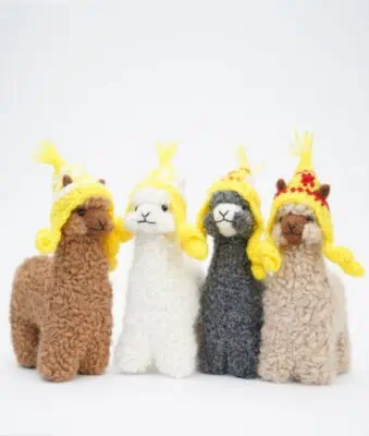 Cute baby alpacas with a yellow hats