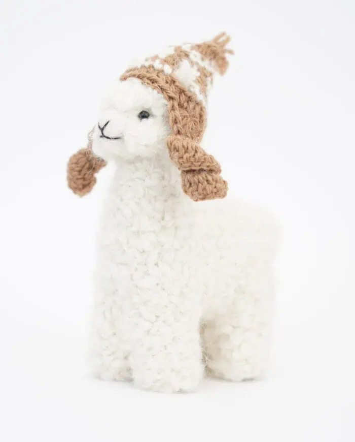 cute baby alpaca with a hat